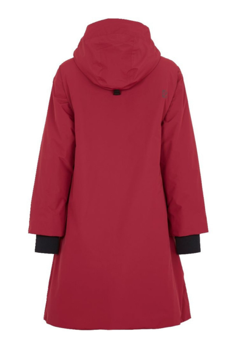 Aino Didriksons punane tagant vaade